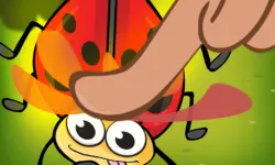 Insect Crush