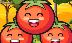 Tomato Ketchup
