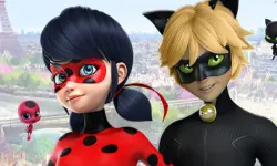 LadyBug Jigsaw Puzzle Collection