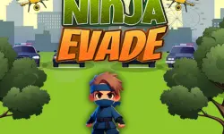 image Ninja Evade