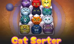 CatSorter Puzzle