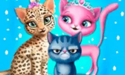 Cat Hair Salon