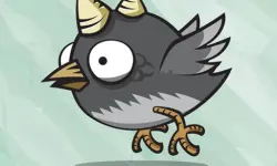 Bird Trap Dx