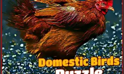 Domestic Birds Puzzle