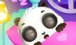 Panda And Friends