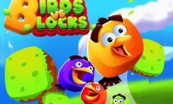 Birds VS Blocks