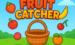 Fruit Catchere
