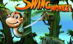 Monkey Swing