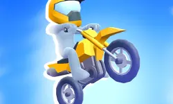 Mad Bikers