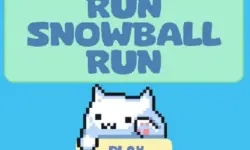 Run Snowball Run