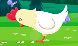 Funny Chicken