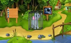Rescue The Elephant Calf