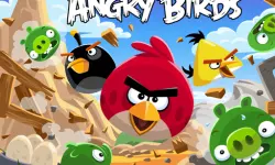 Angry Bird Jungle