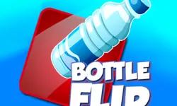 Bottle Flip Game