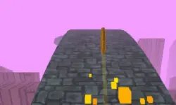 Coin Run