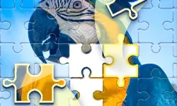 Puzzle Challenge