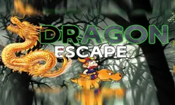 image Dragonz Escape
