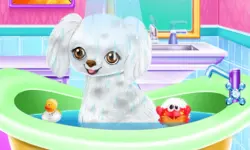 My New Poodle Friend