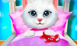 Kitty Bedtime Activities