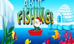 Artic Fishing