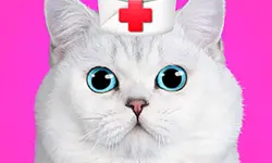 Cat Pet Doctor Dentist