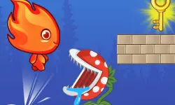 Fire Boy Run Adventure