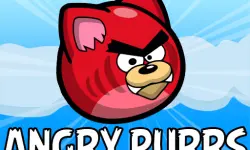 Angry Purrs