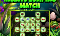 Insects Bumping Match