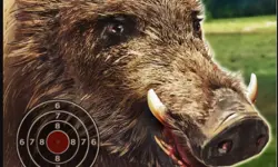 BOAR HUNTING JIGSAW