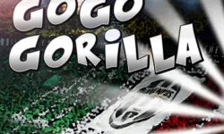 Go Go Gorilla