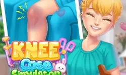 Knee Case Simulator