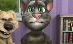 Talking Tom Funny Time