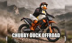 Chubby Duck Offroad