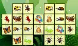 Connect The Insects