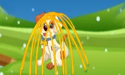 Rescue the Doggy