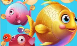 Fish Merge