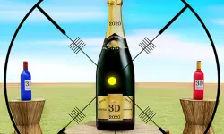 Real Bottle Shooting Game 2020