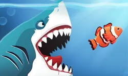 Angry Sharks