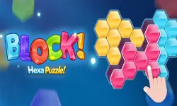 Blok Hexa Puzzle