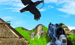 Chicken and Crow Shoot