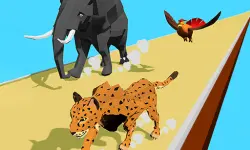 Animal Transform Race 3D