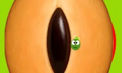 SapotaGo