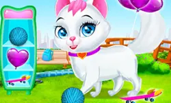 Pet Health Care