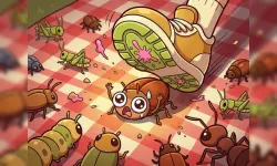 Bug Crunch