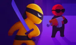 Stealth Master 3D