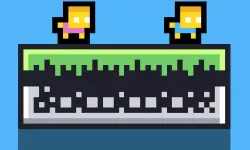 FlapFlat Twins
