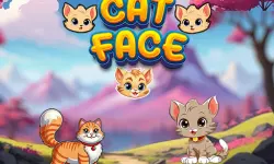Cat Face