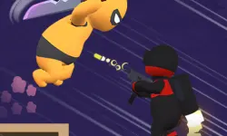 Assassin Ninja Rush