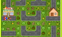 Pizza Delivery Puzzles