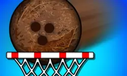 Super coconut Basket